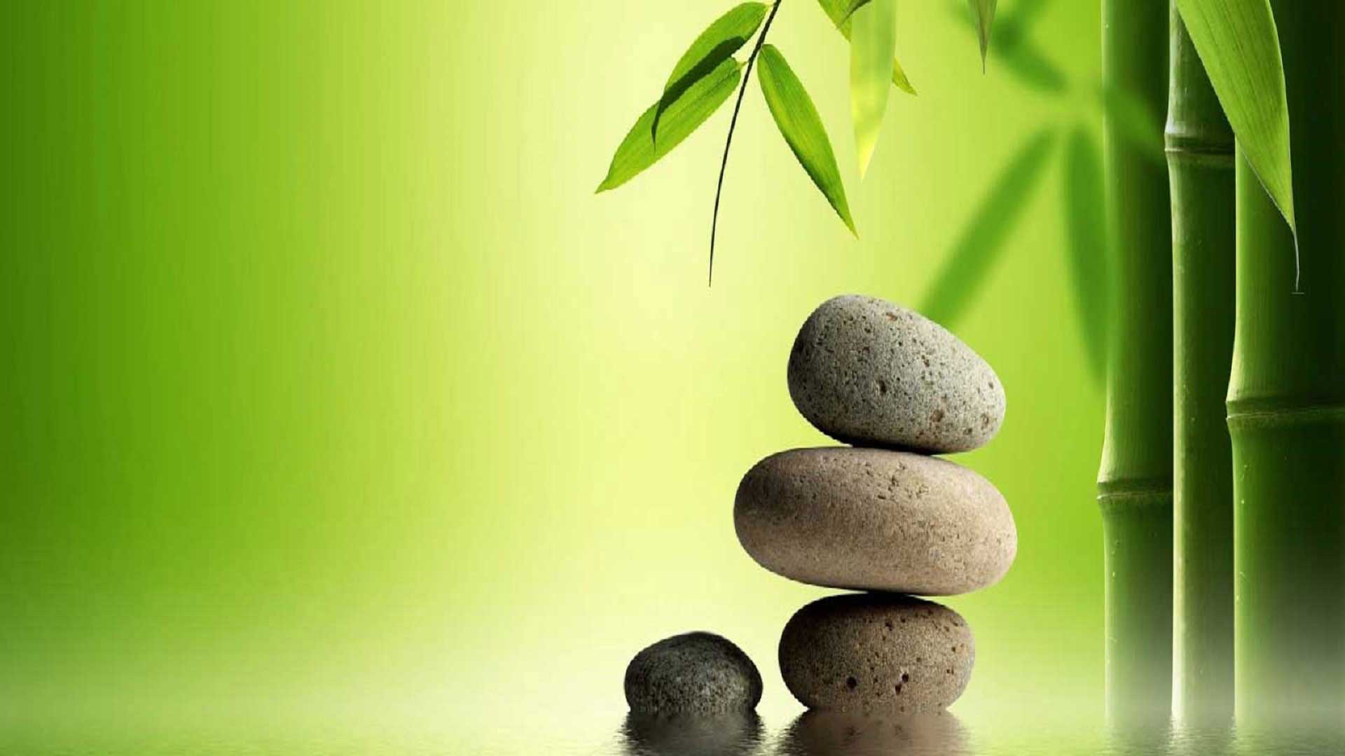 ayurveda specialist