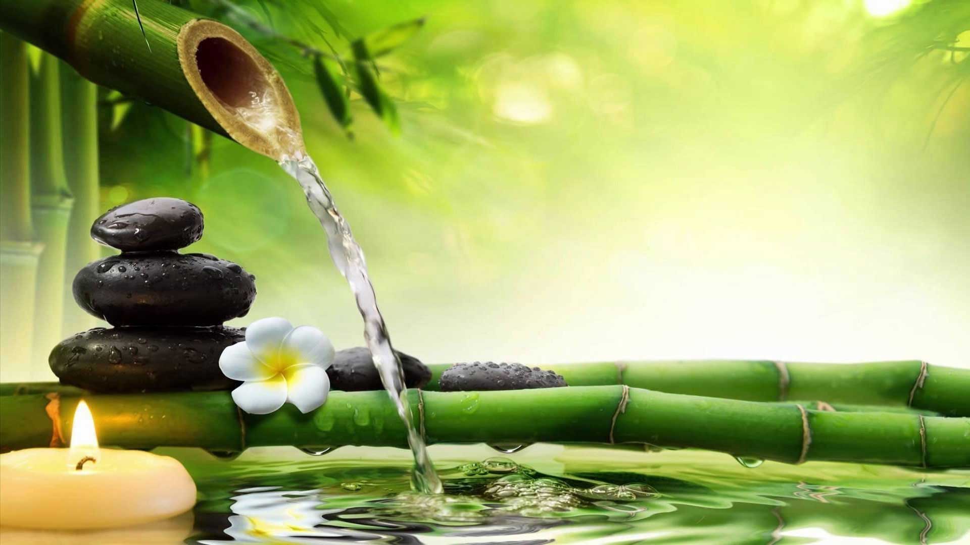 ayurveda consultation