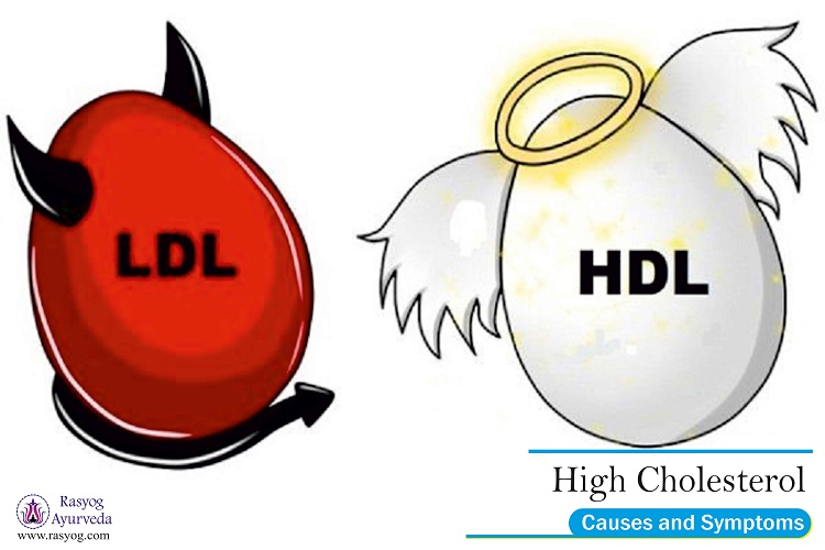 high cholesterol causes and symptoms